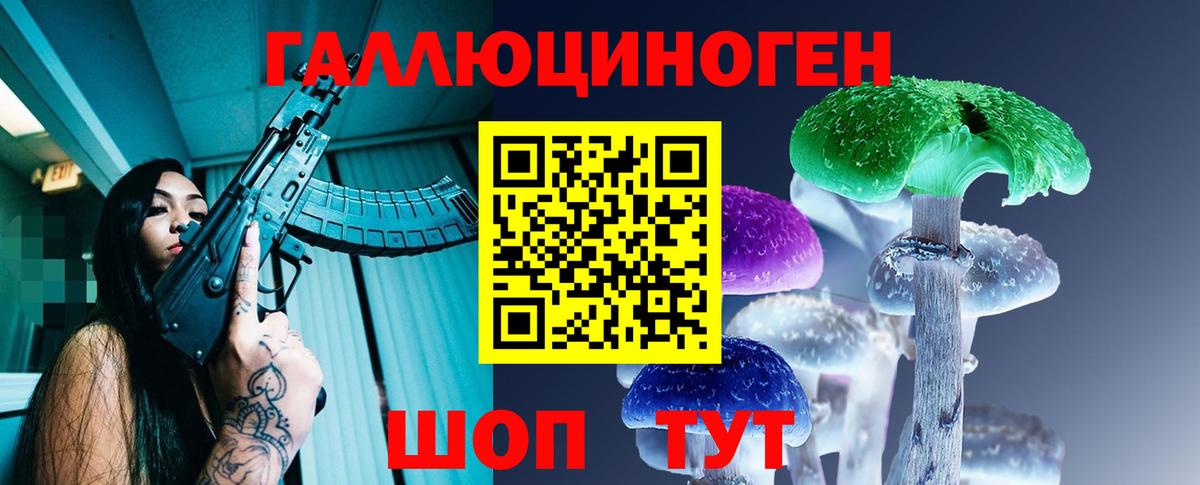 Псилоцибиновые грибы Psilocybe Урюпинск